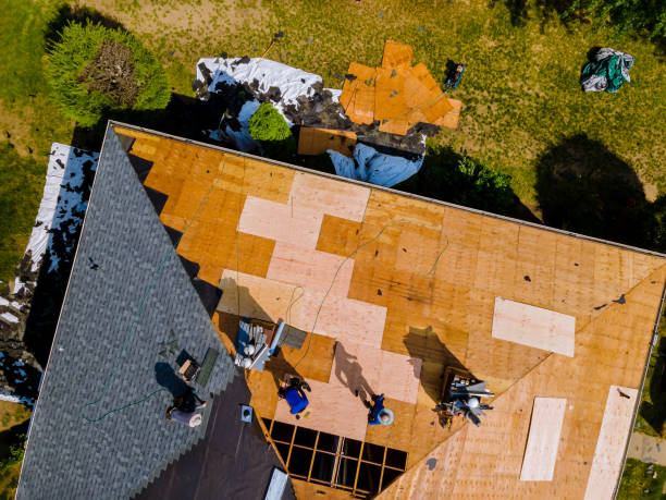 Best Roof Restoration Services  in Saxapahaw, NC