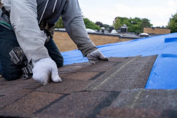 Best Roof Waterproofing Services  in Saxapahaw, NC